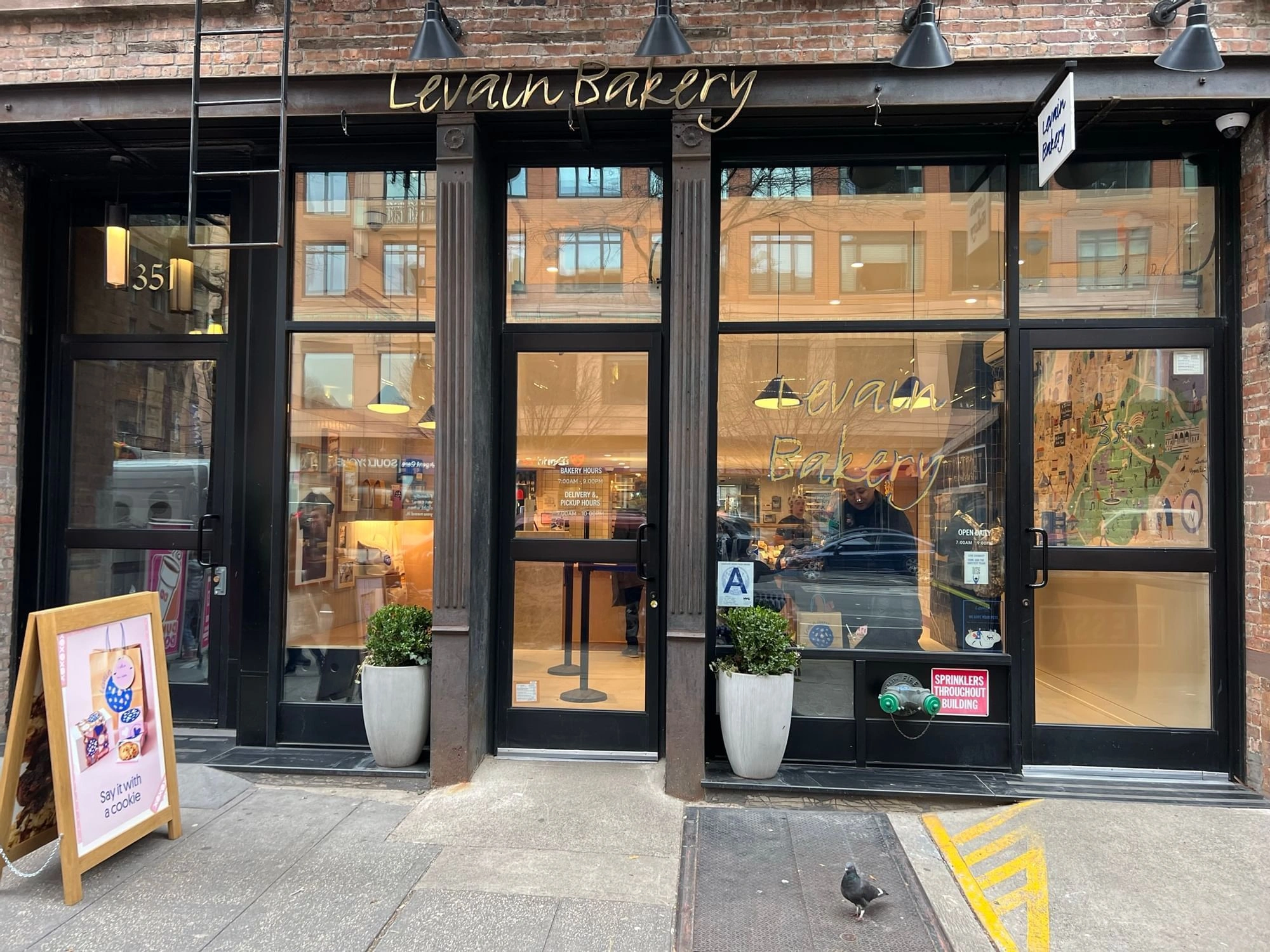 Levain Bakery (New York, NY)